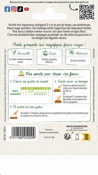 Fleurs - Capucine de Lobb Spit-fire  - MEDIA_PACKAGING_VERSO